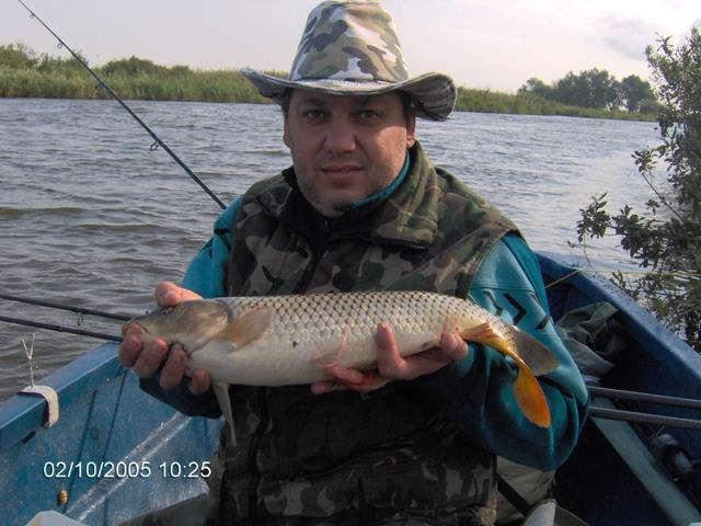 delta rosu 2005 - im000689.jpg